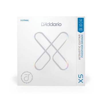 Preview van D'Addario XSAPB1253JC Jacob Collier Taylor 5-String, XS Phosphor Bronze Acoustic 12-53