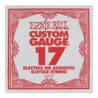 Thumbnail van Ernie Ball eb-1017 Single Nickel plated steel
