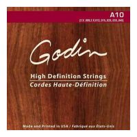 Thumbnail van GODIN A-10 10 string acoustic