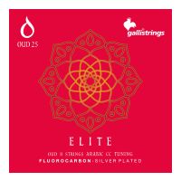 Thumbnail van Galli OUD25 ELITE&reg; FLUORO CARBON 11 STR. ARABIC CC TUNING