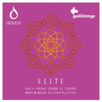 Thumbnail van Galli OUD850 ELITE® GUT & SILK 11 STR. ARABIC CC TUNING