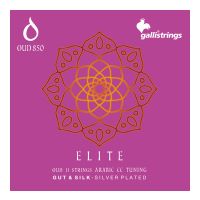 Thumbnail van Galli OUD850 ELITE® GUT & SILK 11 STR. ARABIC CC TUNING