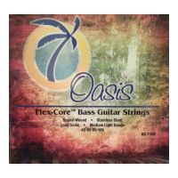 Thumbnail van Oasis BG-7104 Flex-Core&trade; Stainless Round wound 4 string
