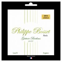 Thumbnail van Philippe Bosset PBBRA2453 8 strings Brahms guitar set clear nylon Low B
