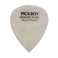 Thumbnail van Pickboy GPBN-1 Exotic Bone Pick