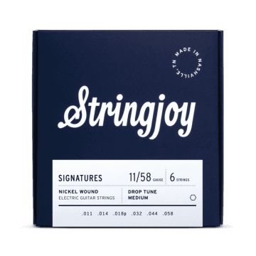 Preview van Stringjoy DRP11 Signatures -Nickelwound 11-58 Drop C