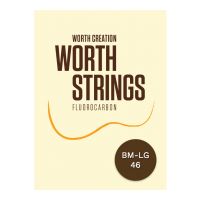 Thumbnail van Worth BM-LG Medium Low G Soprano and concert set