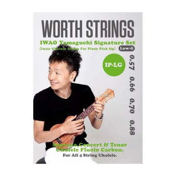 Preview van Worth IP-LG  Iwao Yamaguchi signature set Low G ( for piezo pickup)